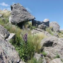 Strange rocks on the way to Cerro Champaqui